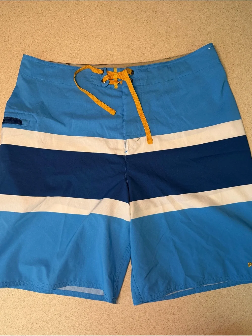 Patagonia Blue Striped Men's Board Shorts